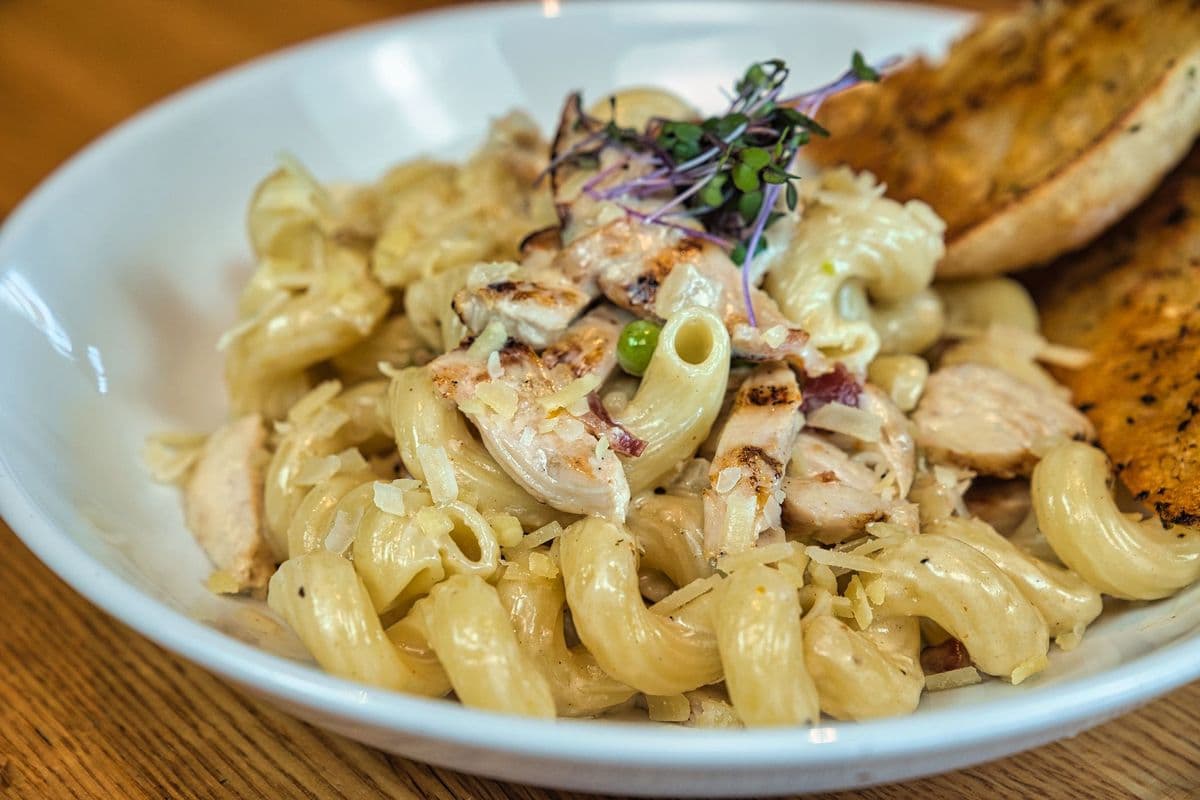 Cavatappi Alfredo Pasta