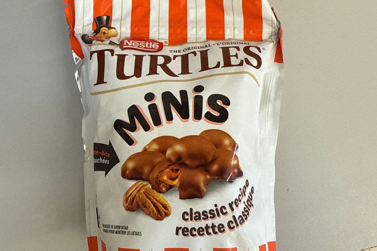Turtles minis