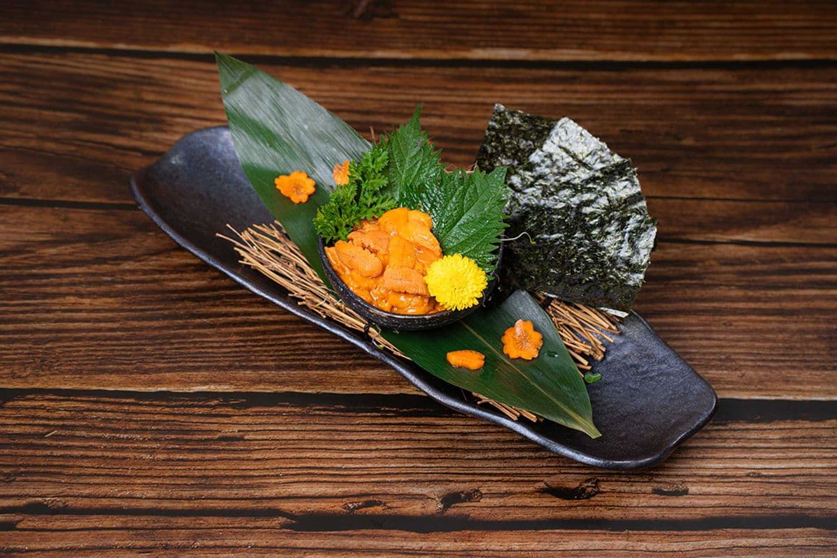 Uni Sashimi