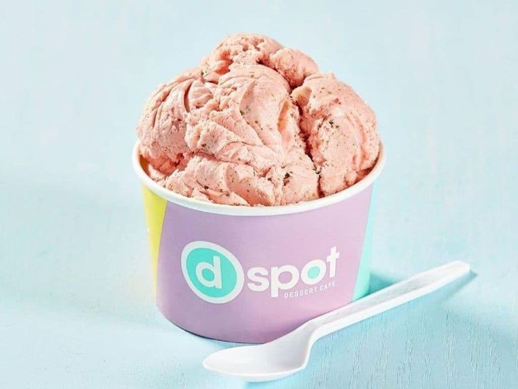 Small Scoop Ice Cream