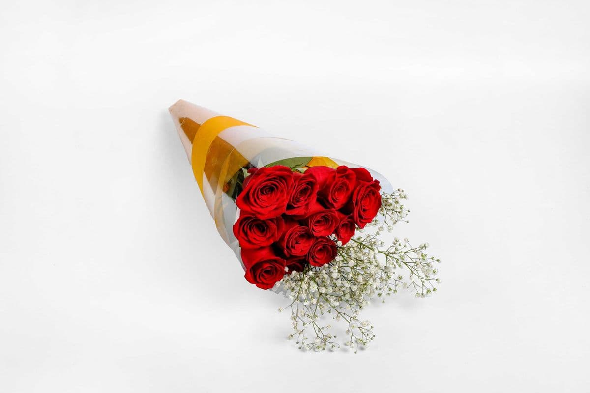 Twelve Pieces of Red Rose with Filler