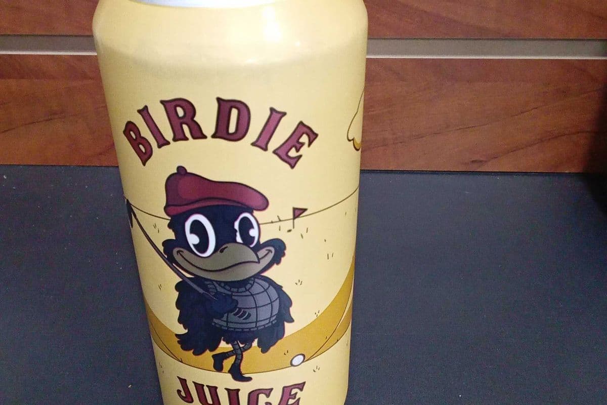 Birdie juice IPA 473ml (1 x 473ml)