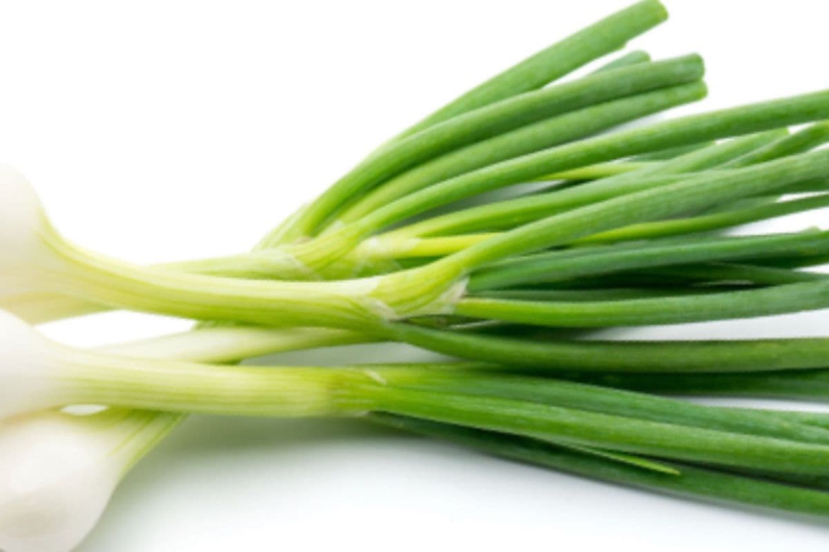 Green Onion (1 Bunch)