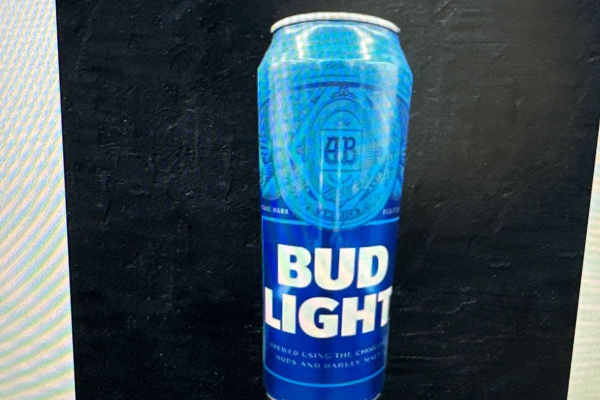 Bud Light Beer (1 x 740 ml Can)