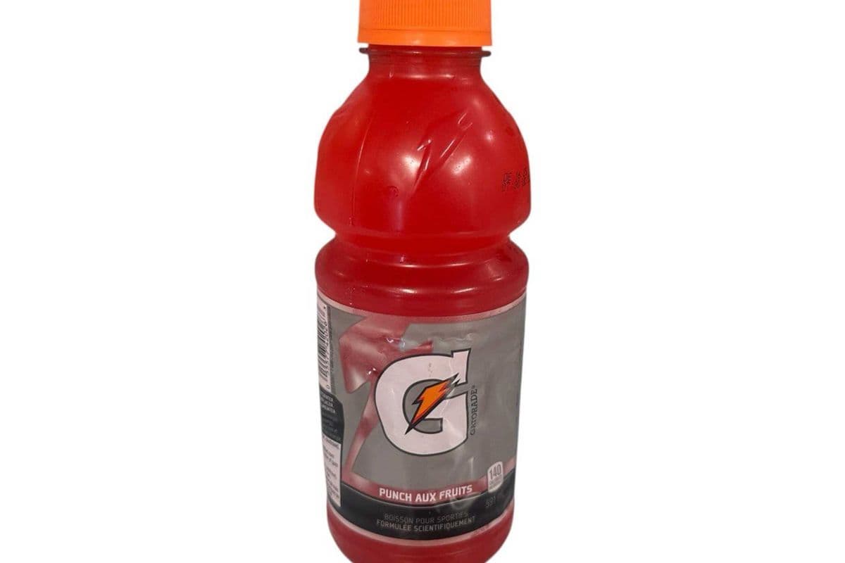 Gatorade Fruit Punch (591 ml)