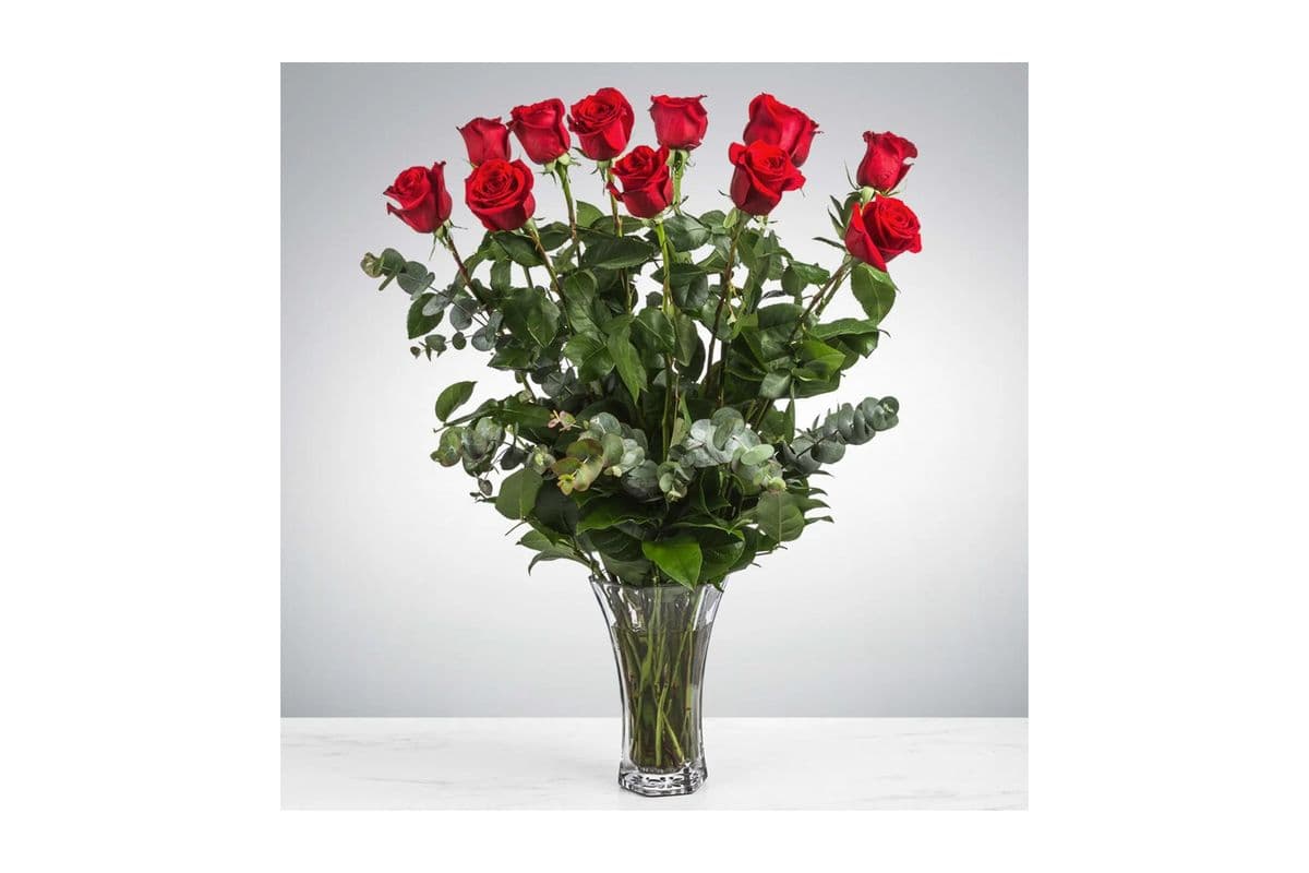 Dozen Long Stemmed Roses 12