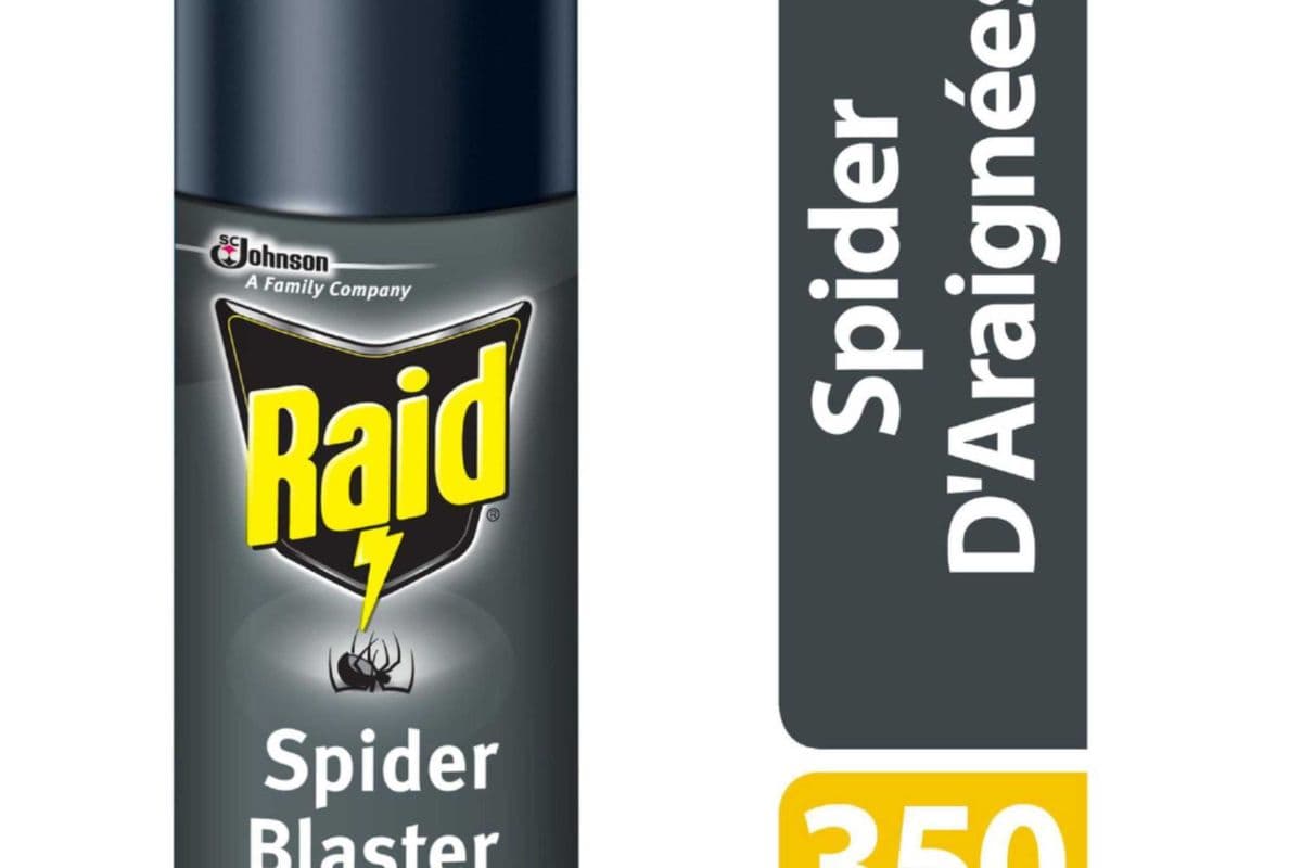 Raid - Spider Blaster 350g