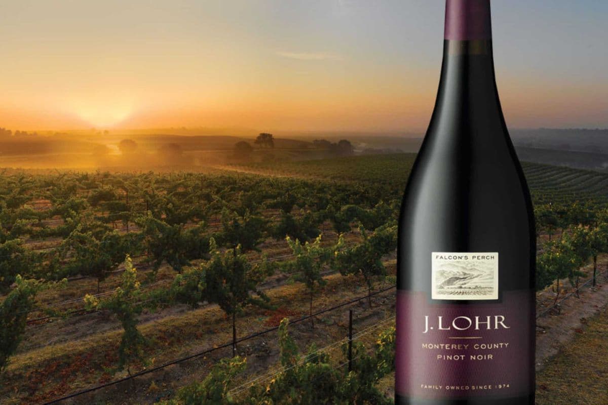 J Lohr Pinot Noir 'Falcon's Perch' (750 ml) (1 x 750ML)