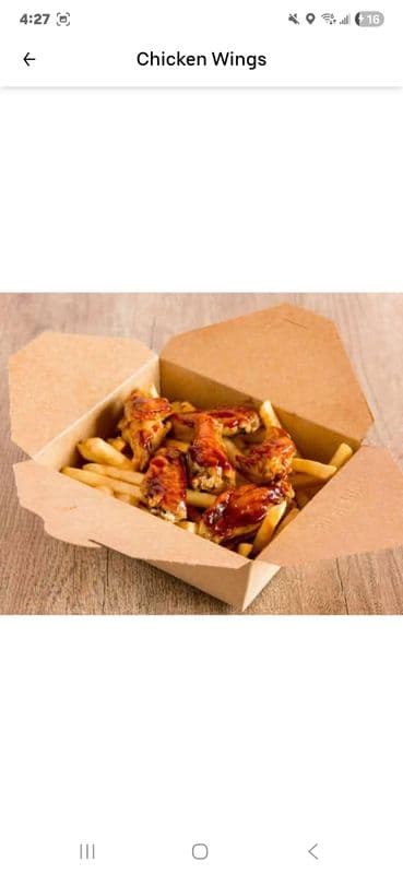 9 Pieces Chicken Wings