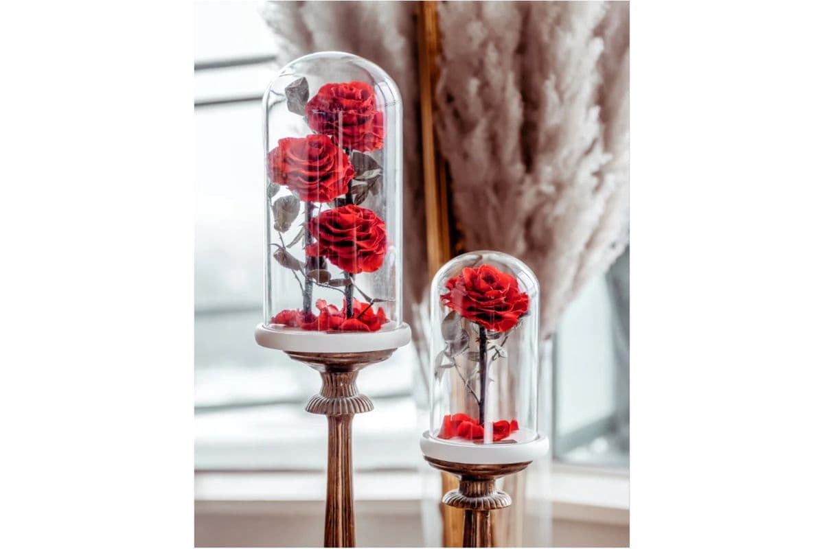 Eternity 3-in-1 Rose in Enchanted Glass Dome