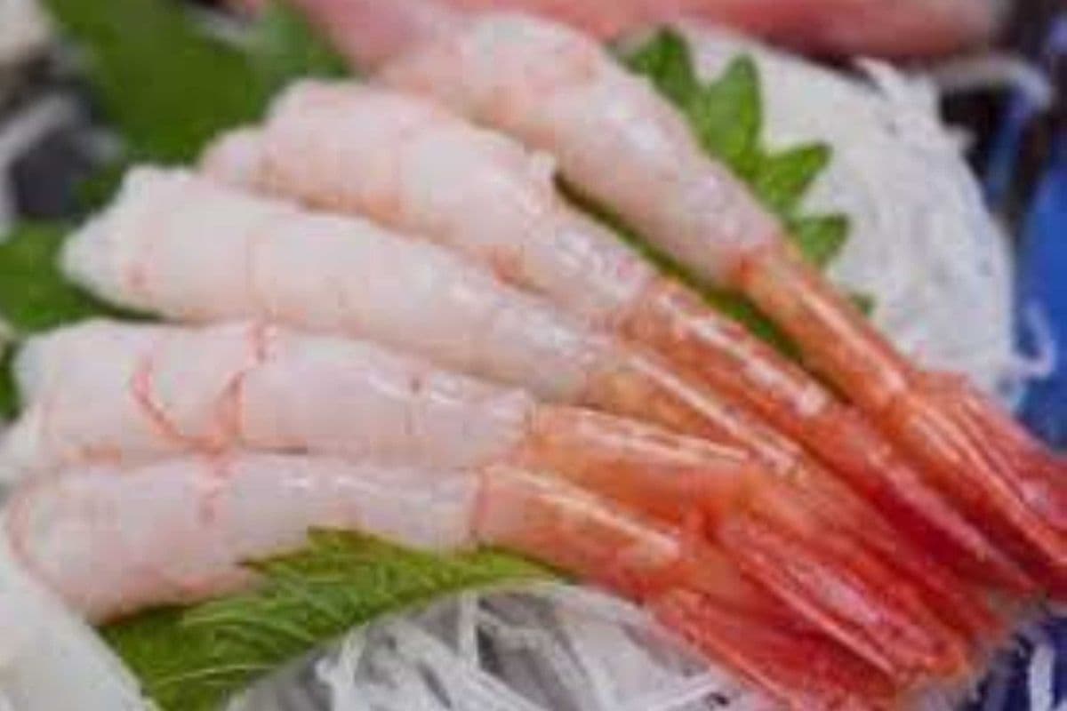 514 Sweet Shrimp