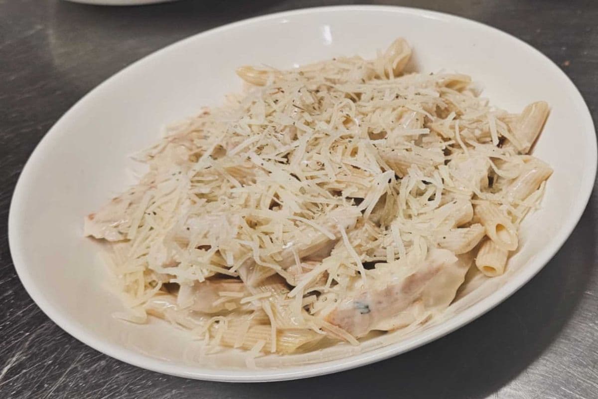 Chicken Alfredo Penne