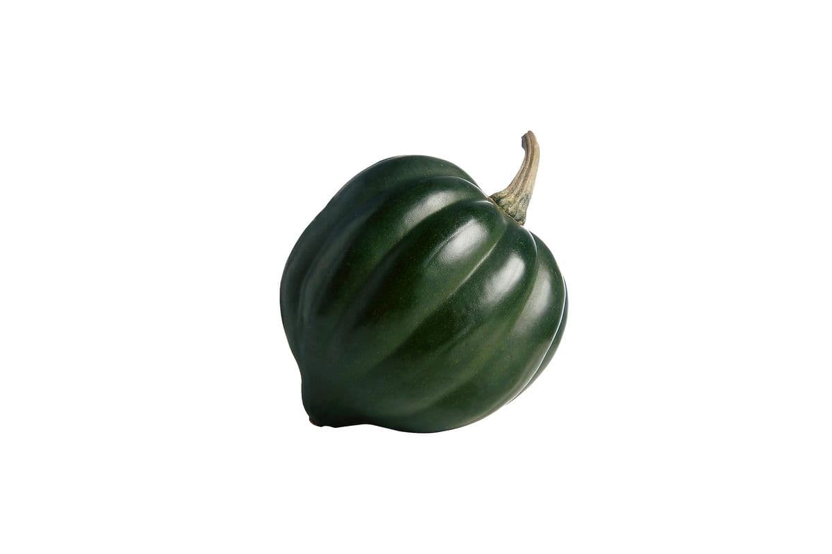 Acorn Squash (1 count)