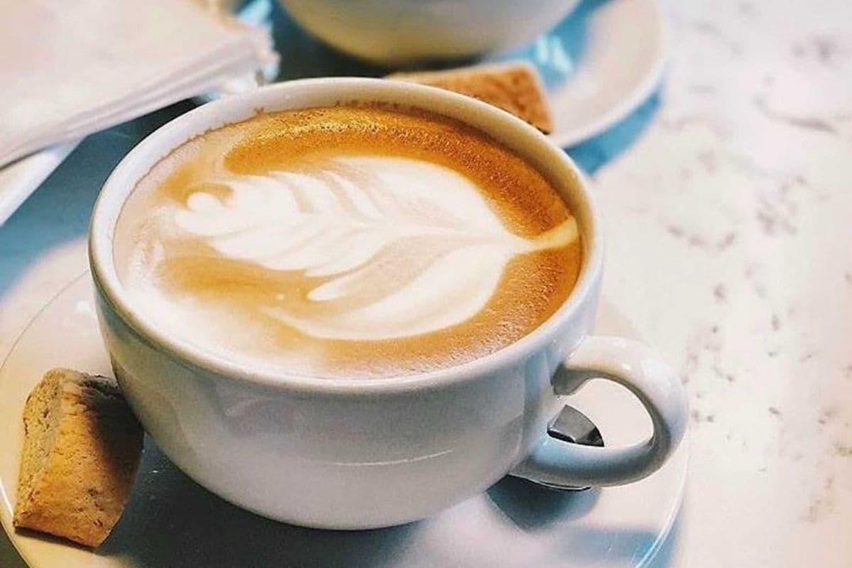 Unflavoured Latte