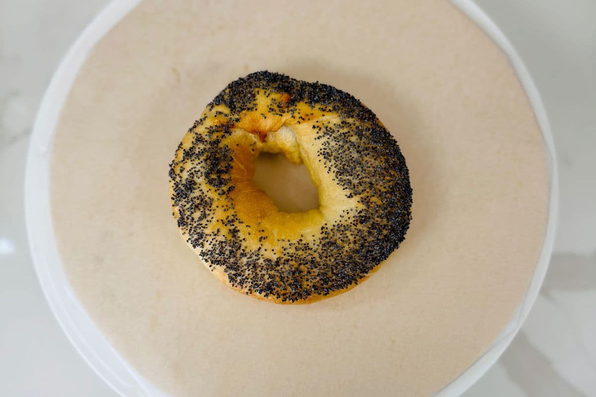 Poppy Seeds bagel