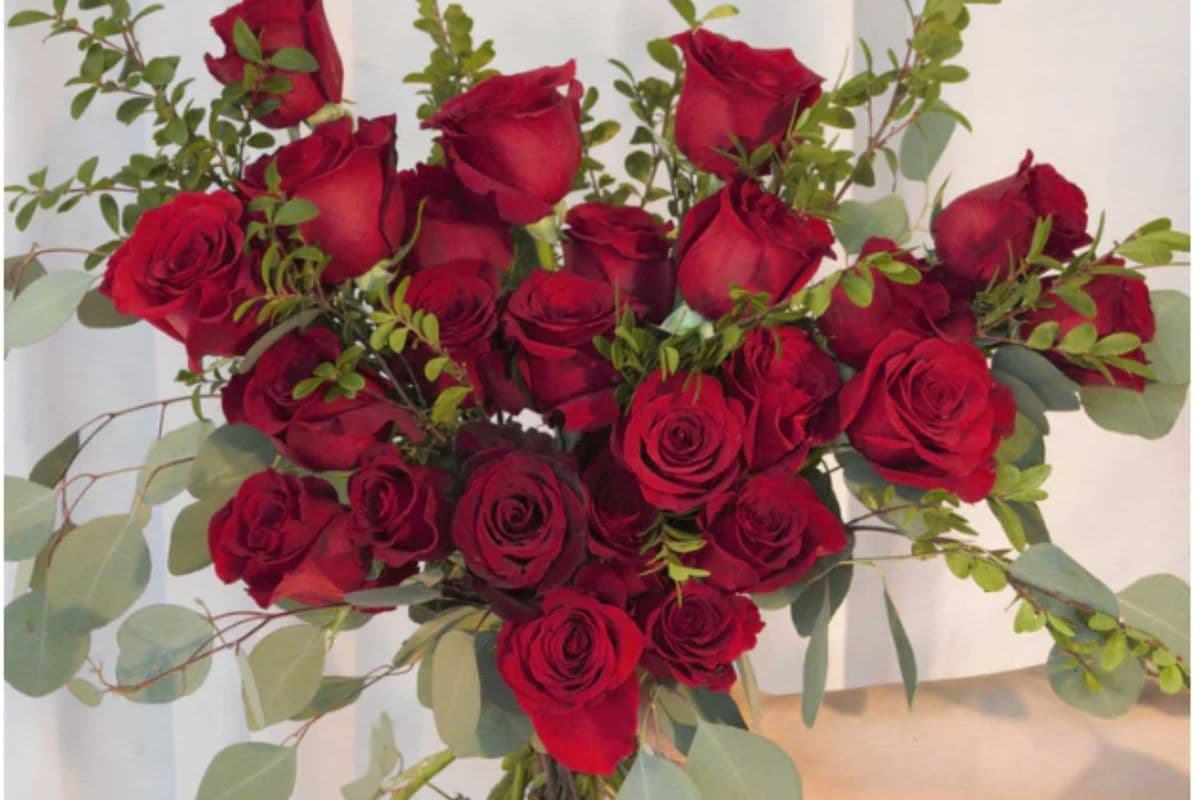 Roses are Red...2 dozen red roses