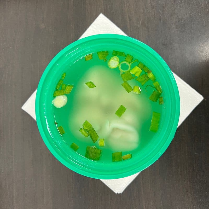 SOUPE WON TON