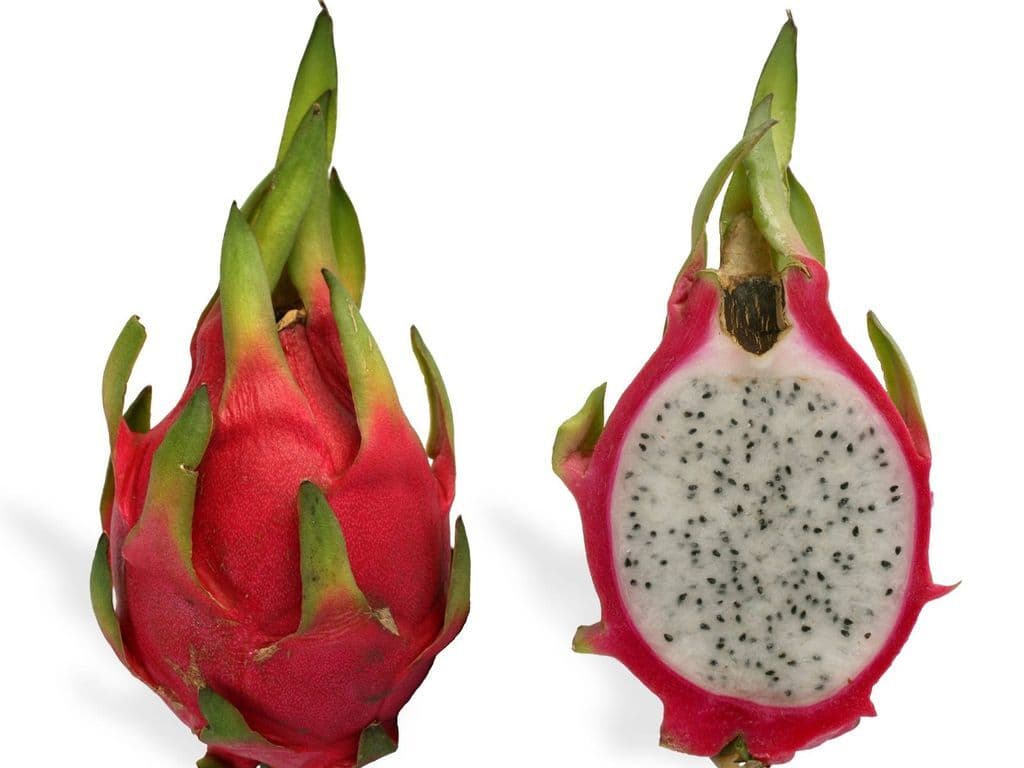 Dragon Fruit (Each)