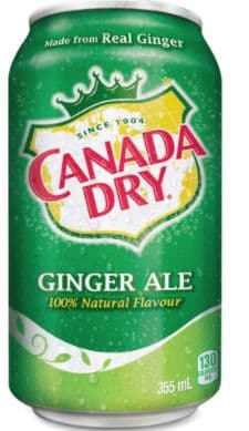 Ginger Ale (Can) (355ml)