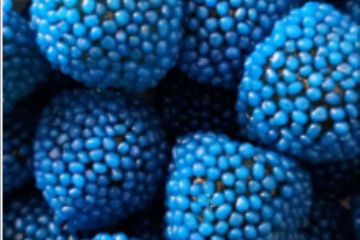 Baie croquante à la framboise bleue 125g