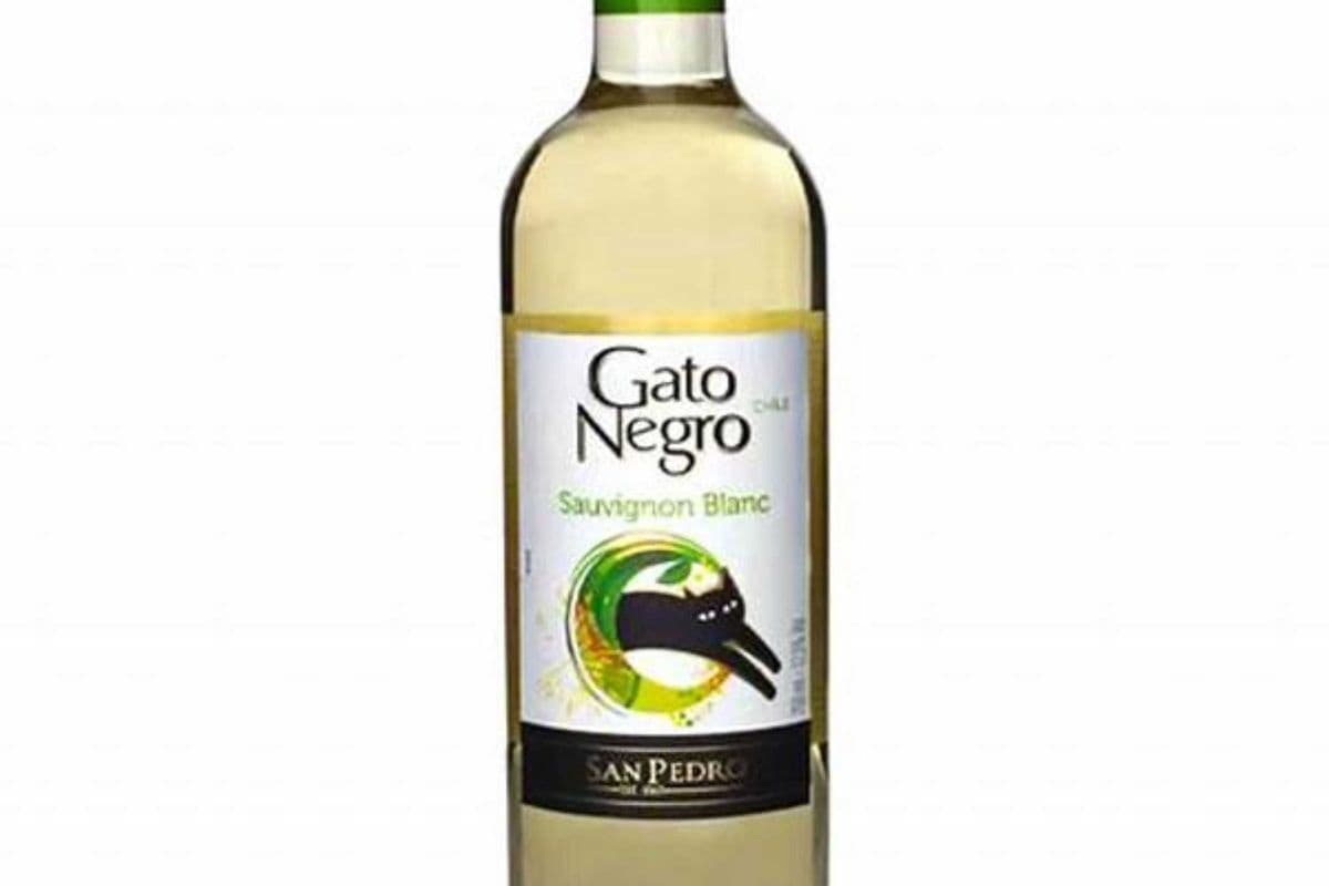 Gato Negro Sauvignon Blanc (1 x 750 ml)