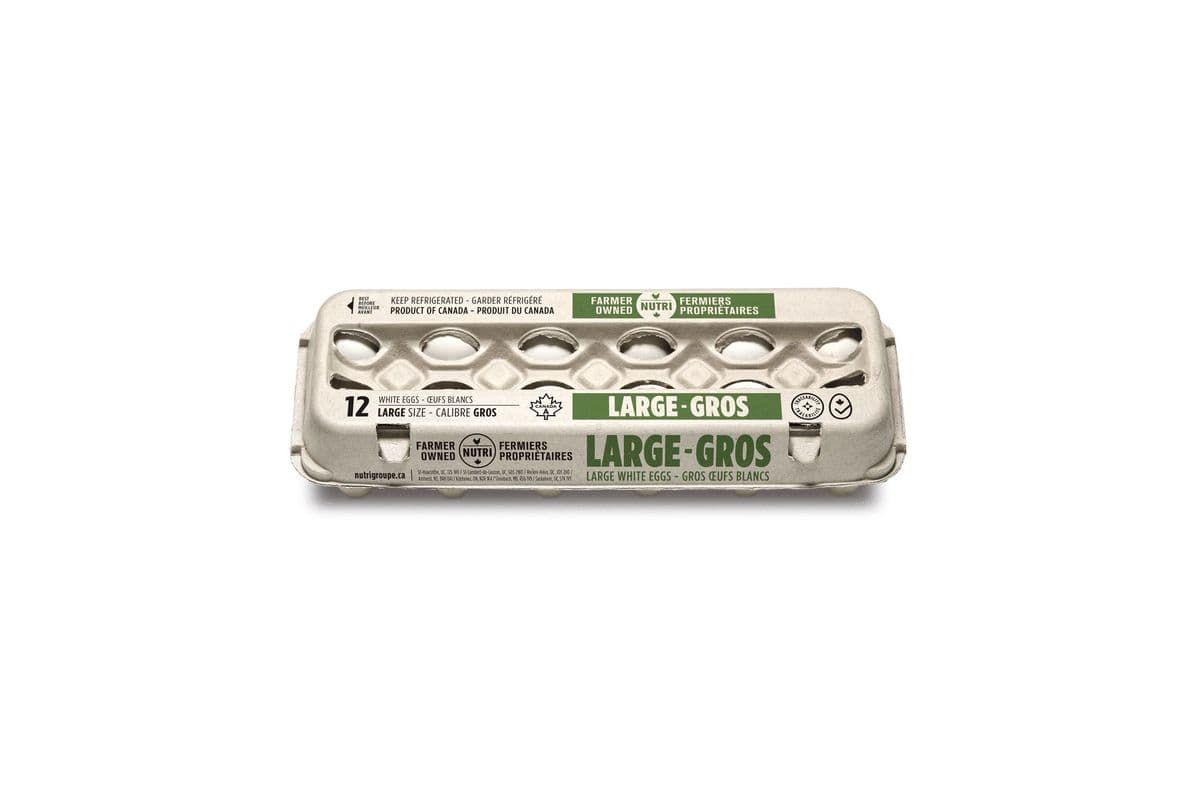 Large Eggs