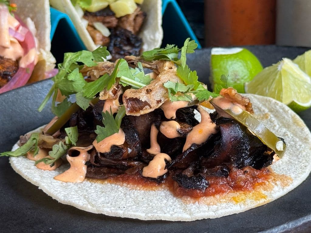 Oyster Mushroom Taco