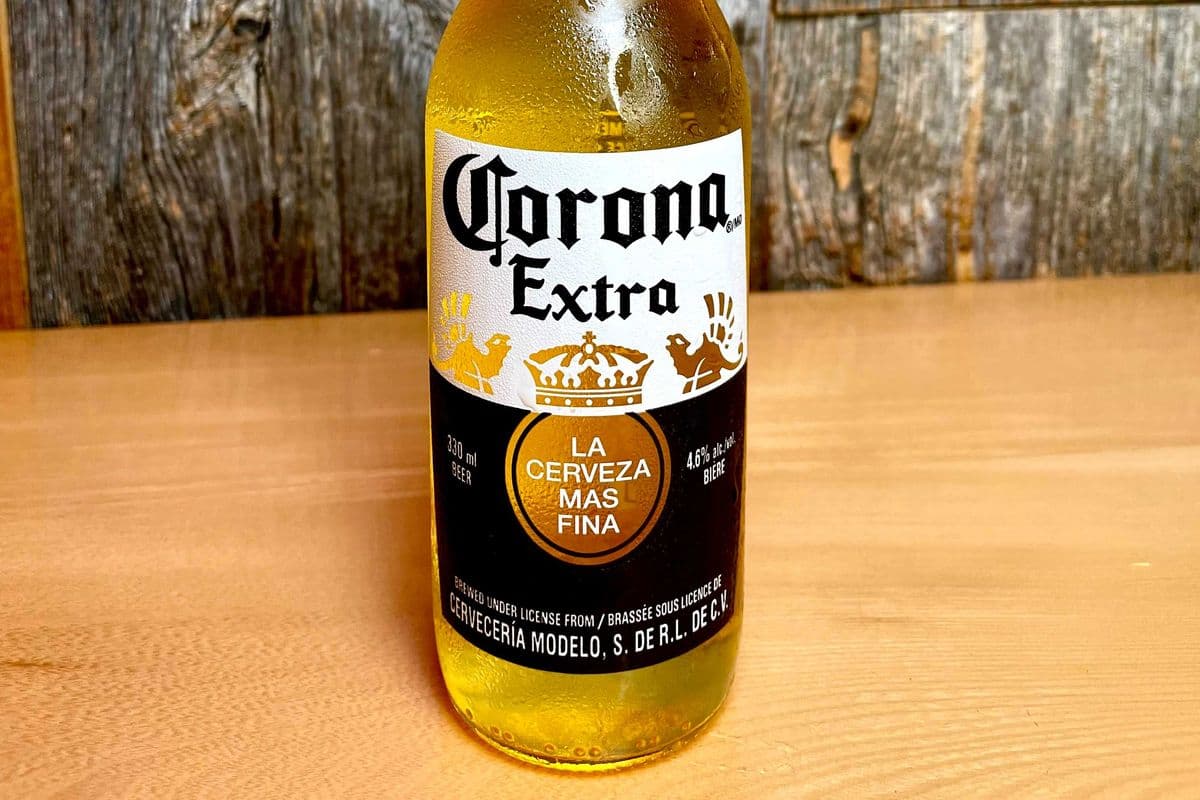 CORONA BEER BOTTLE