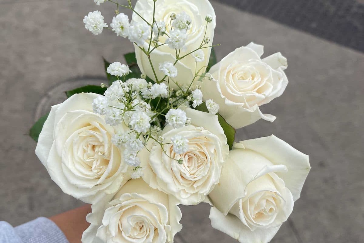 White Roses - 6 Stems