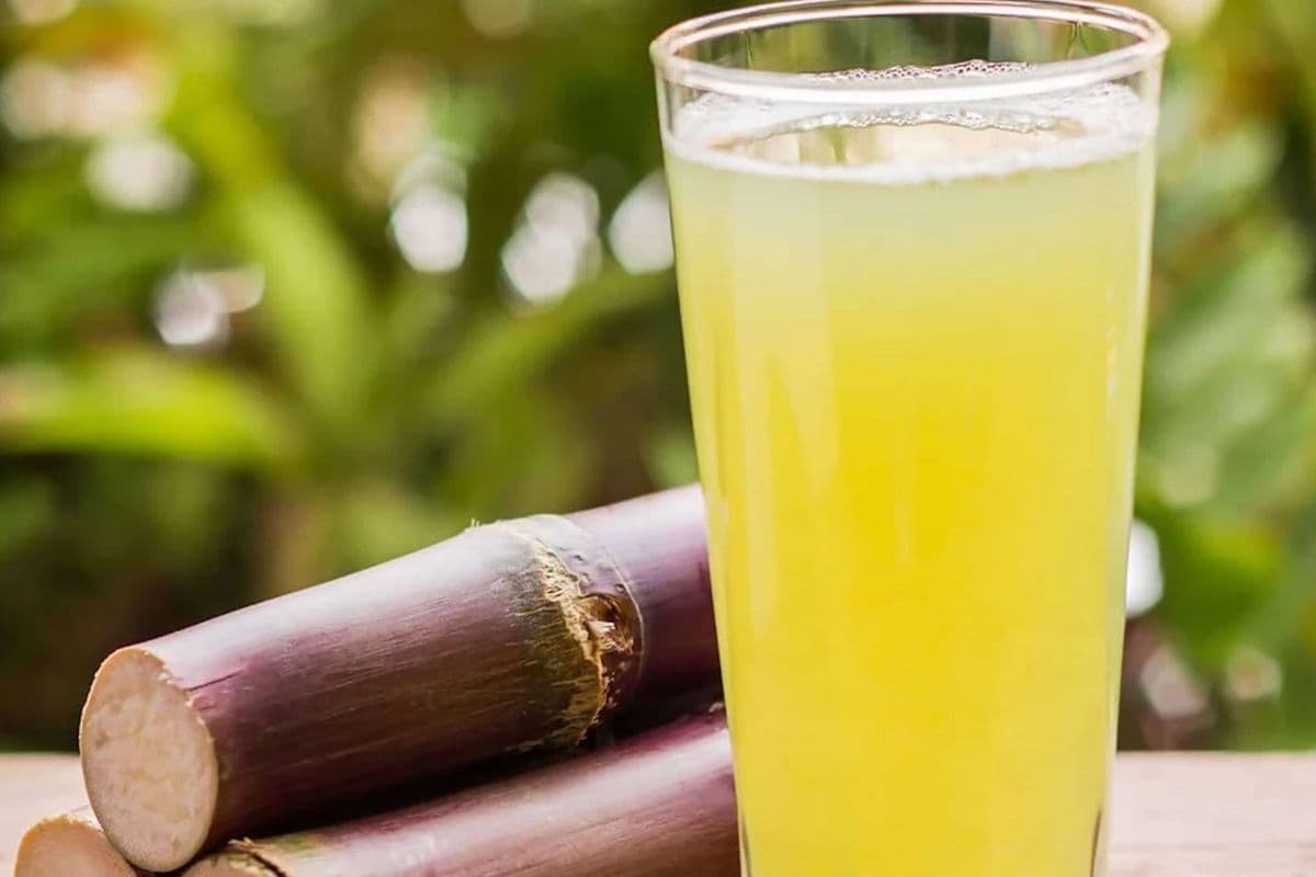 34. Vietnamese Sugarcane