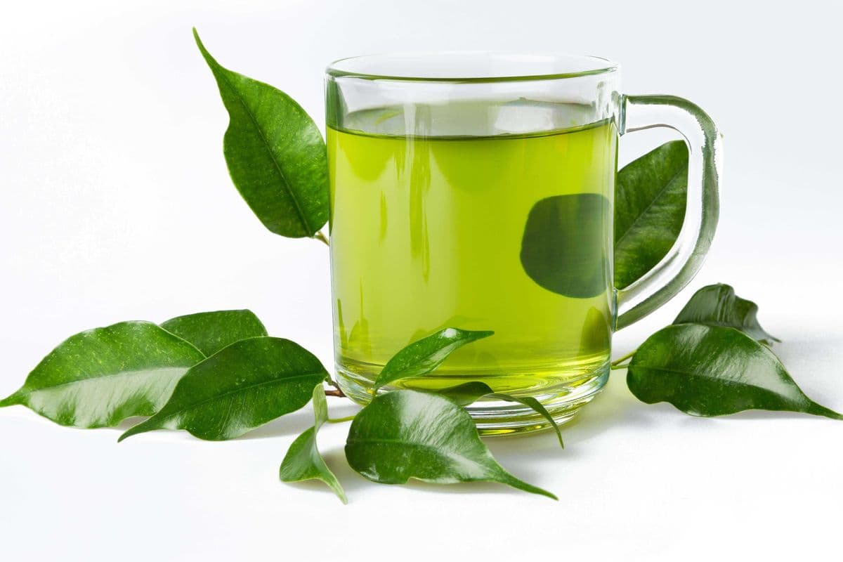Hot Traditional Milk Tea 熱奶紅茶 / 熱奶綠茶