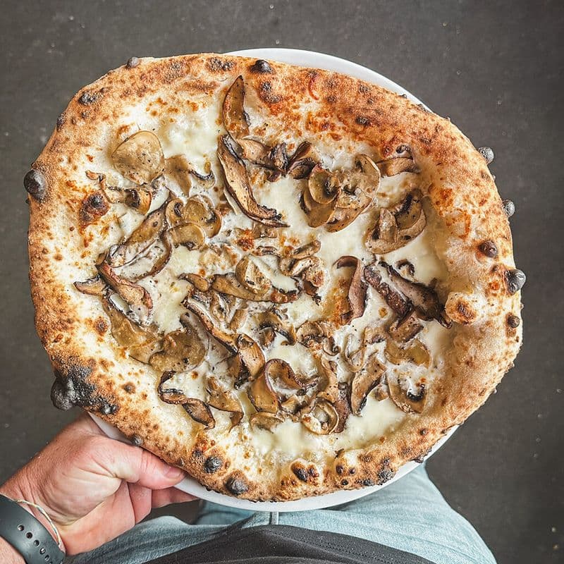 Pizza Champ 16" / 16" Champ's Pizza