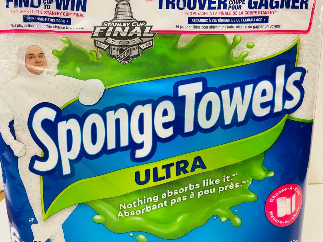 Sponge Towels (6 Rolls)