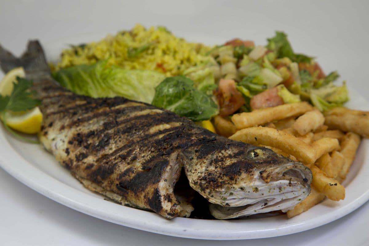 12. Plat de loup de mer / Sea Bass Plate