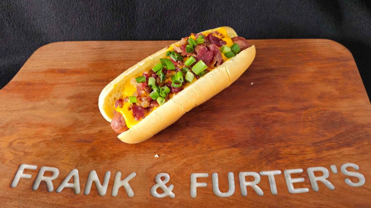The Knights Dog