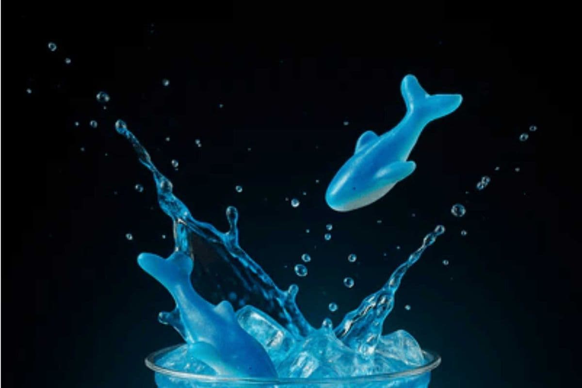 24K Soda - Blue Whale