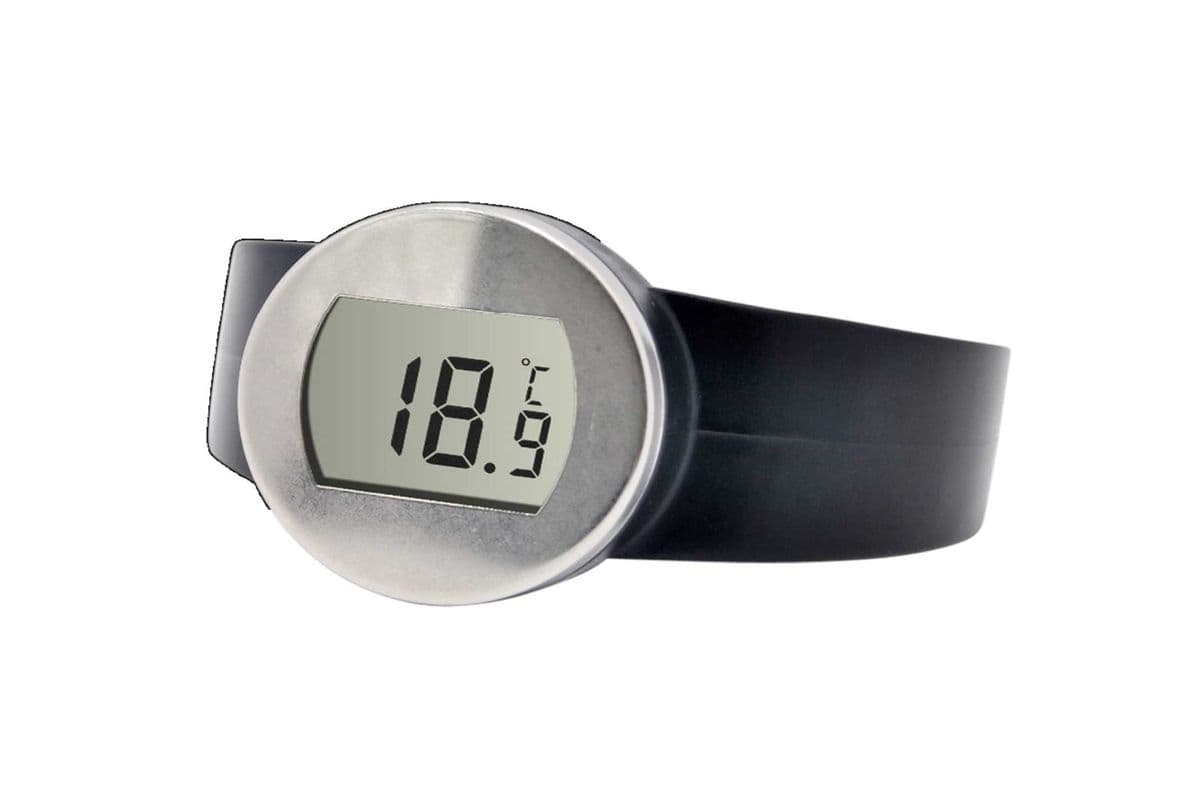 Wine Thermometer