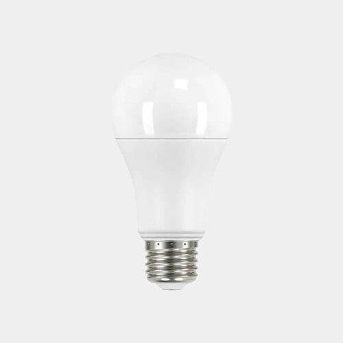 Buld Ampoule (100W) / Buld Lamp (100W)