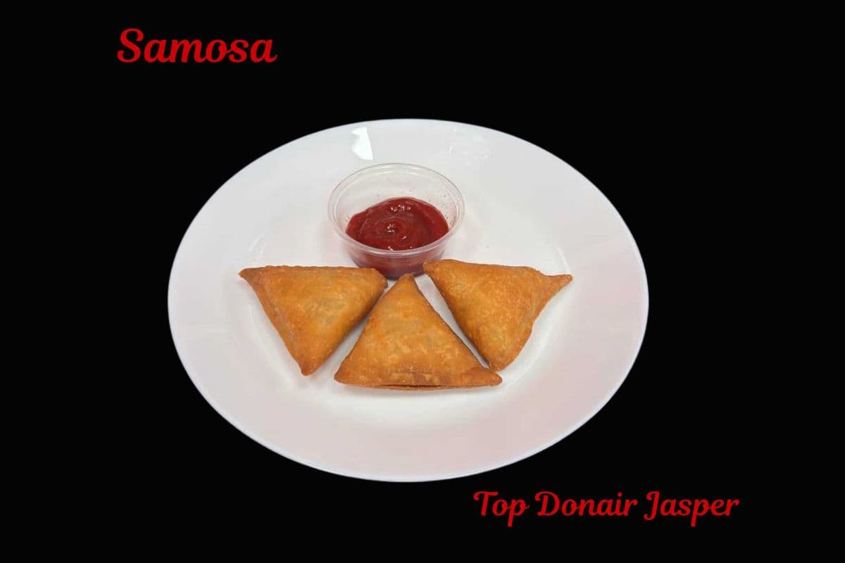 3 piece veggie samosa
