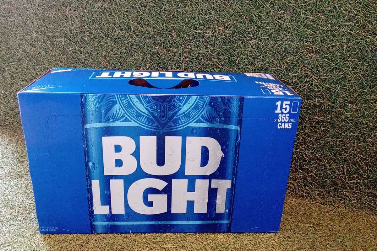 Bud Light (15 x 355 ml)