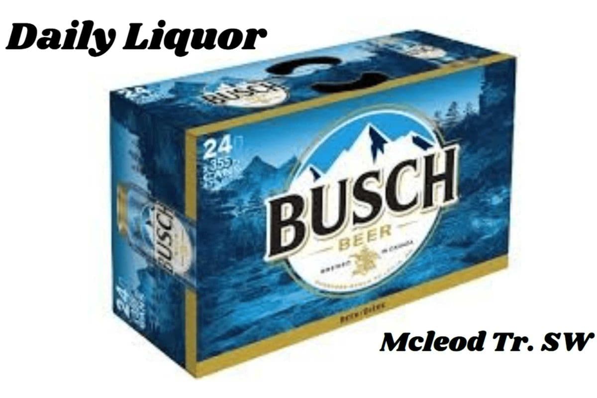BUSCH LAGER 24 CANS (1 x 355ML)