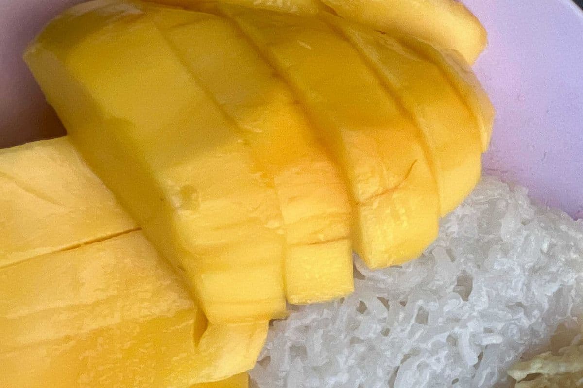 Mango & Sticky rice