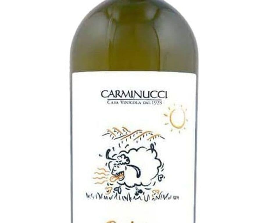 Carminucci Pecorino - BT