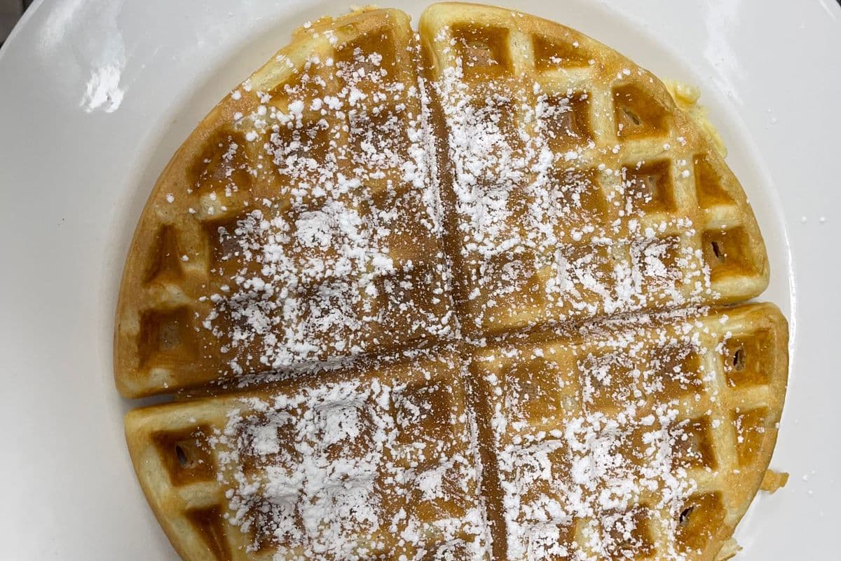 Belgian Waffle Topped with Icing Sugar