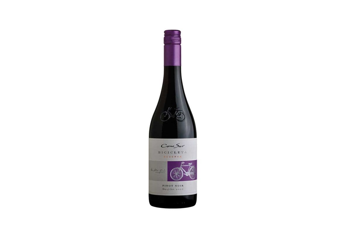 Cono Sur Pinot Noir (1 x 750 ml Bottle)