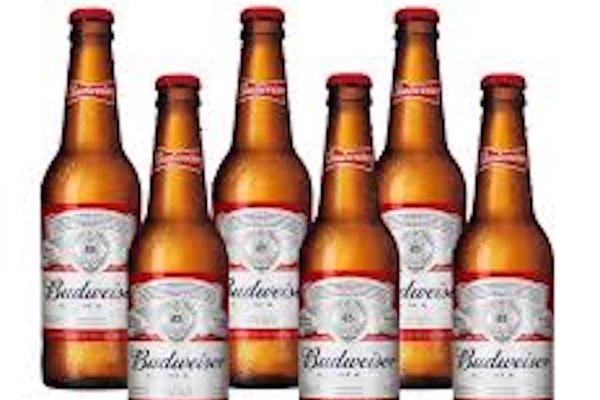 Budweiser 15 bottles (15 x 355 ml)