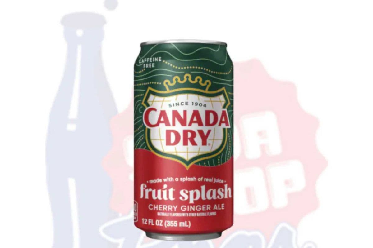 Canada Dry - Fruit Splash 355ml
