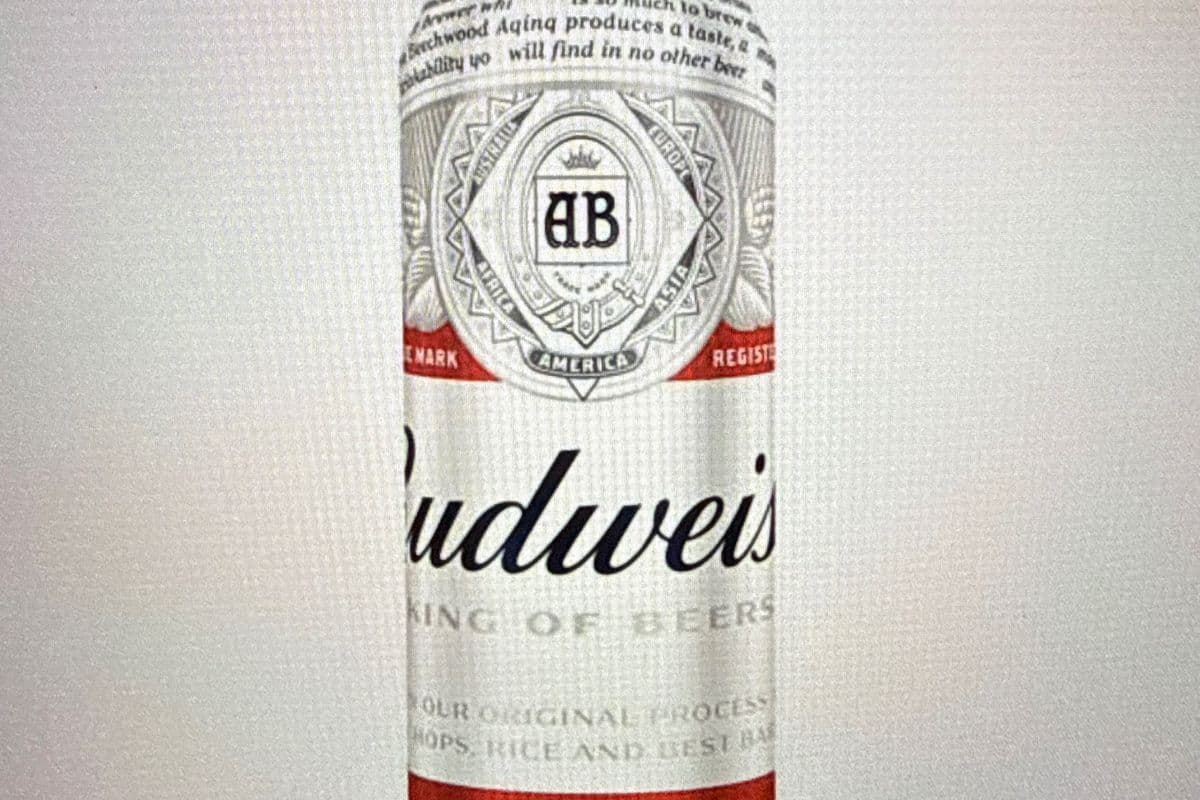 Budweiser 740ML Can (1 x 740 ml Can)