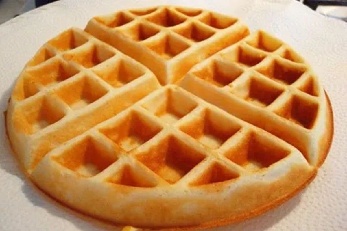 Plain Waffle