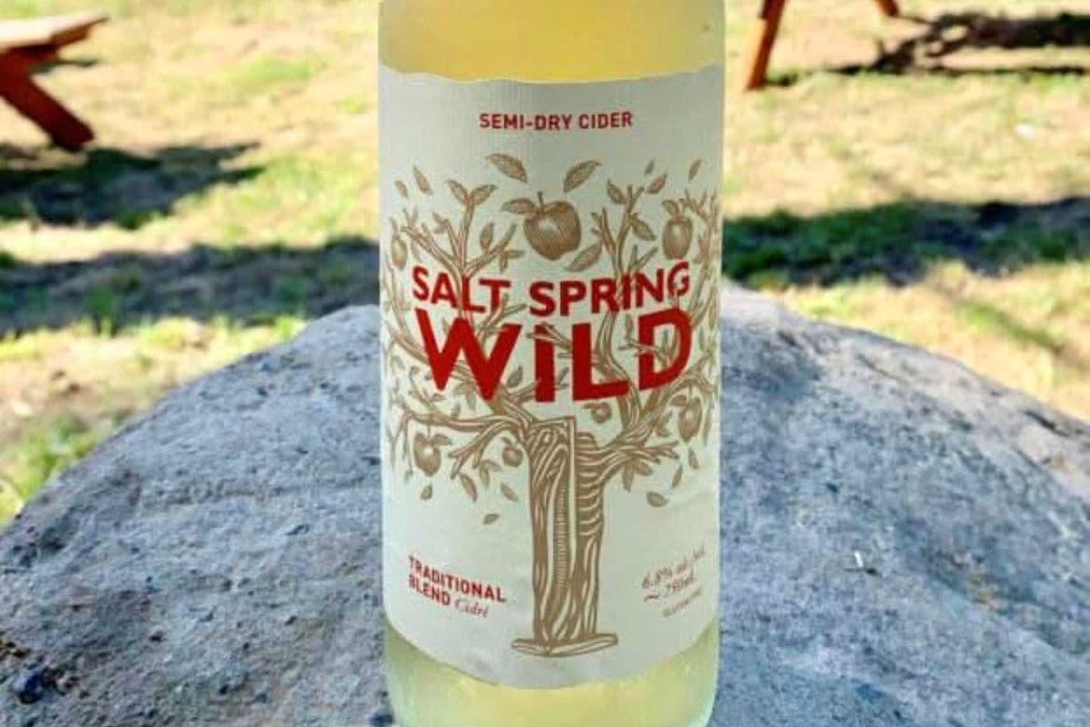Salt Spring Wild Semi-Dry Cider - 750mL (1 x 750 ml)